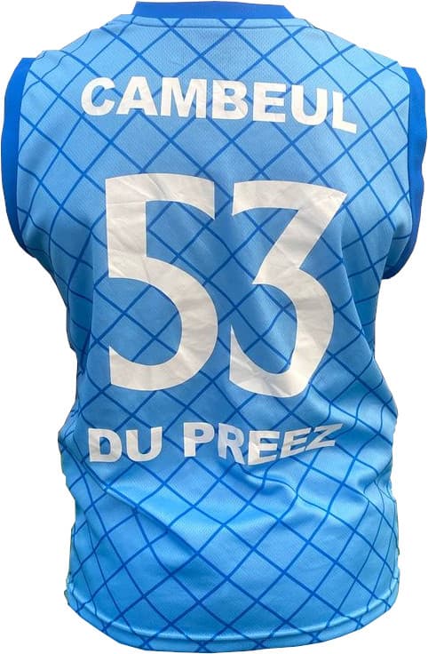 Blues Playing Shirt